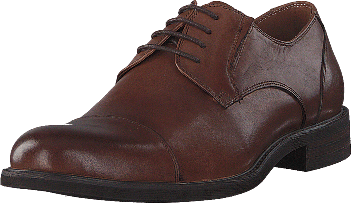 Senator - 431-1531 Premium Cognac
