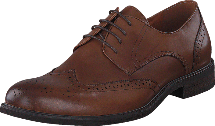 Senator - 431-5811 Premium Cognac