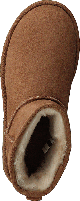 UGG - Classic Mini II Chestnut