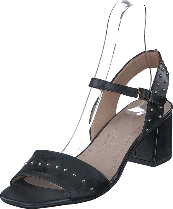 Wonders - F-6104 Pergamena Negro