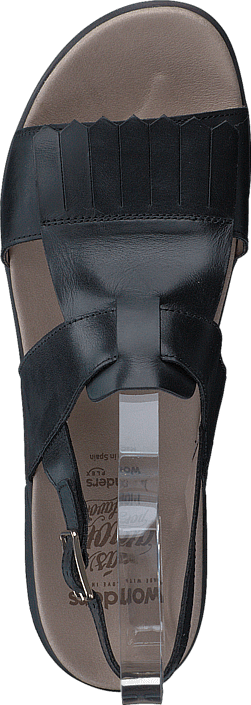Wonders - C-4401 Pergamena Negro