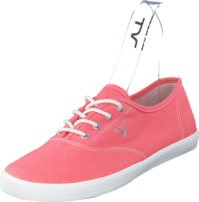 Gant - 14538591 New Haven G570 Shell Pink