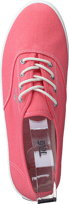 Gant - 14538591 New Haven G570 Shell Pink