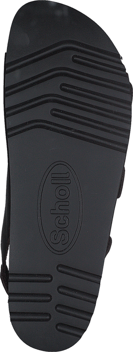 Scholl - Giava Dark Brown