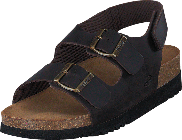 Scholl - Giava Dark Brown