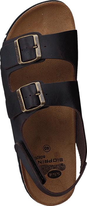 Scholl - Giava Dark Brown