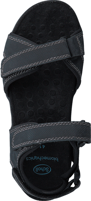 Scholl - Barwon Black