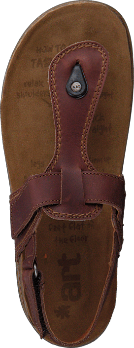 Art - 865 We Walk Brown