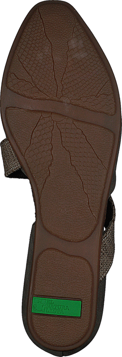 El Naturalista - Stella Pleasant Kaki