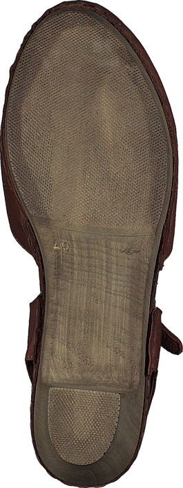 Ten Points - Atena 743001 Brown