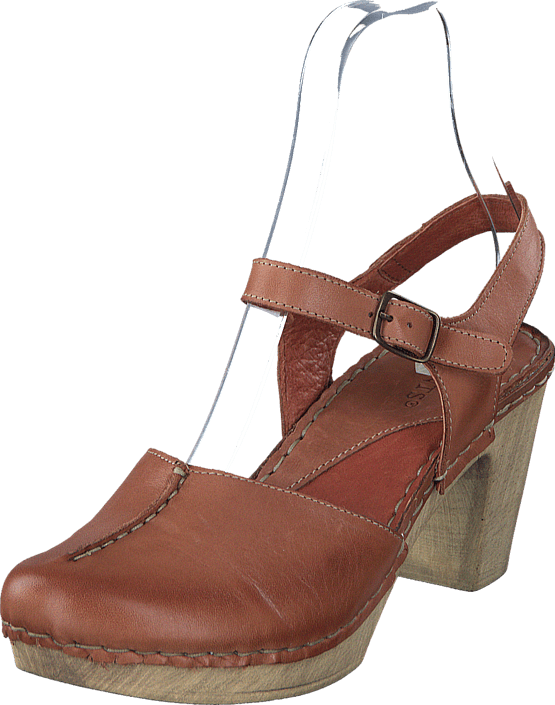 Ten Points - Atena 743001 Brown