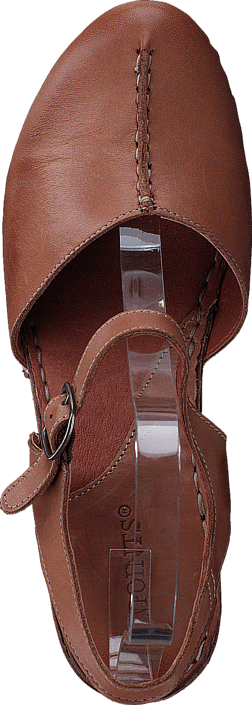 Ten Points - Atena 743001 Brown