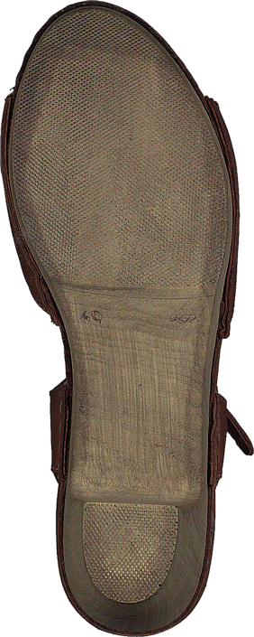 Ten Points - Atena 743002 Brown