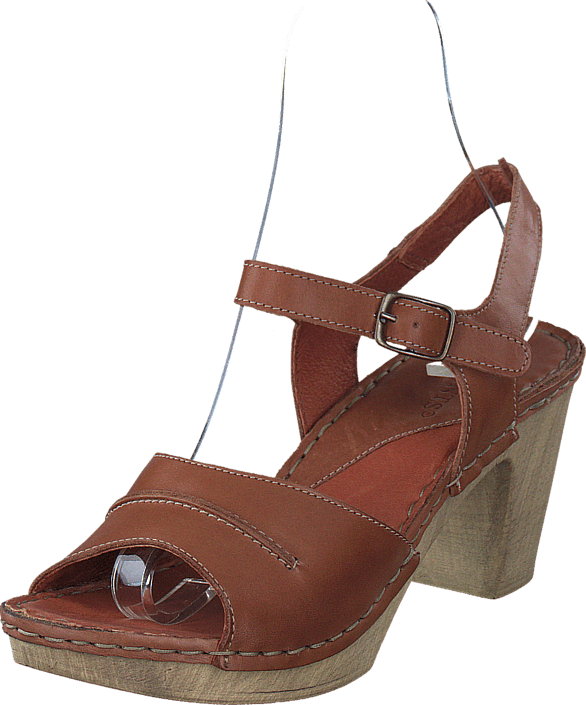 Ten Points - Atena 743002 Brown