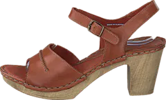 Ten Points - Atena 743002 Brown