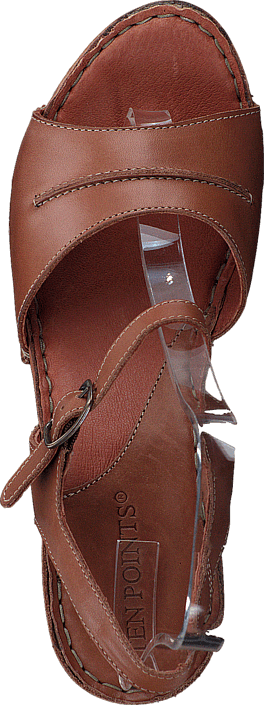 Ten Points - Atena 743002 Brown