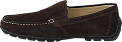 Geox - Uomo Monet Coffee