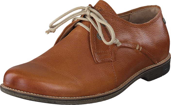 Sneaky Steve - Billow Low Cognac