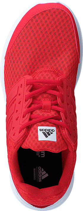adidas Sport Performance - Galaxy 3 M Core Red S17/Core Red S17/Scar
