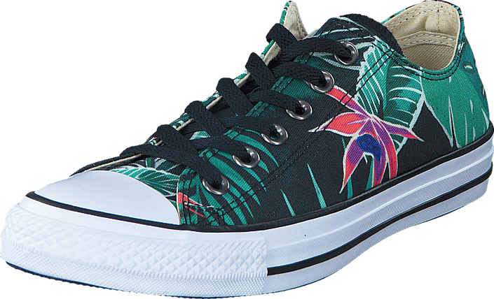 converse menta