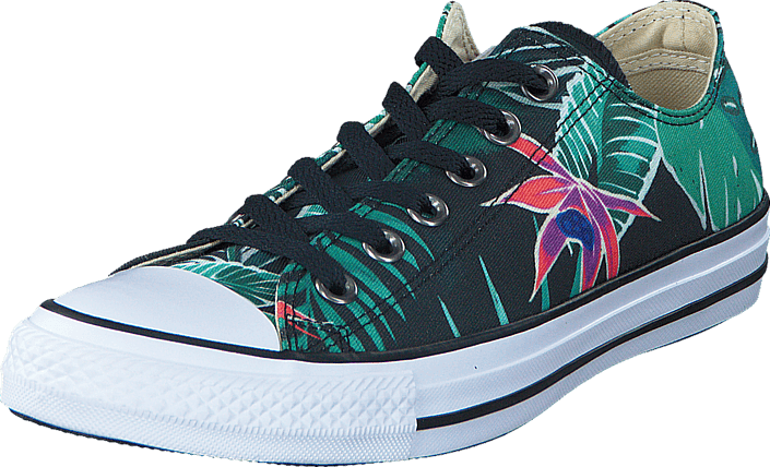 All Star Tropical Print Ox Menta/Black