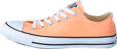 Converse - All Star Ox Seasonal Coral