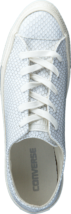Converse - All Star Gemma Hi Snake Leath Buff