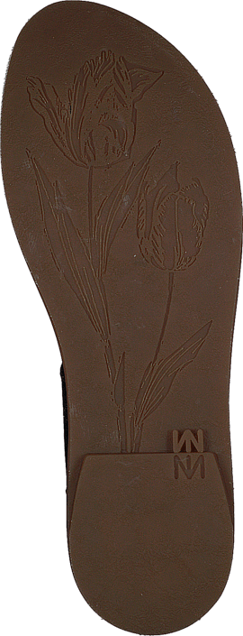 El Naturalista - Tulip Ibón NF36 Black