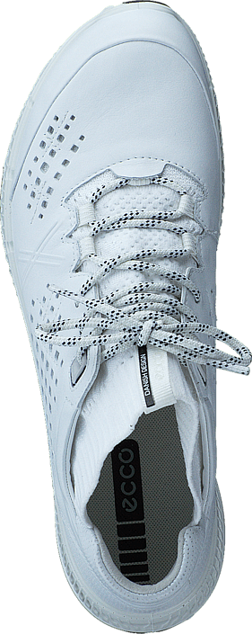 Ecco - 861003 Intrinsic TR White/ Bright White