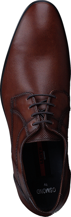 Lloyd - Osmond Cognac