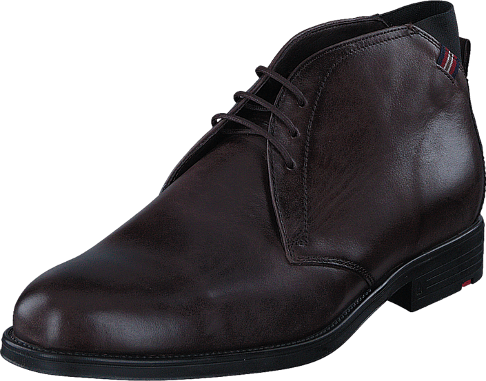 Lloyd - Patriot Havanna