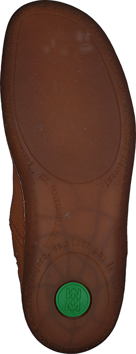 El Naturalista - N275 El Viajero Carrot Piedra