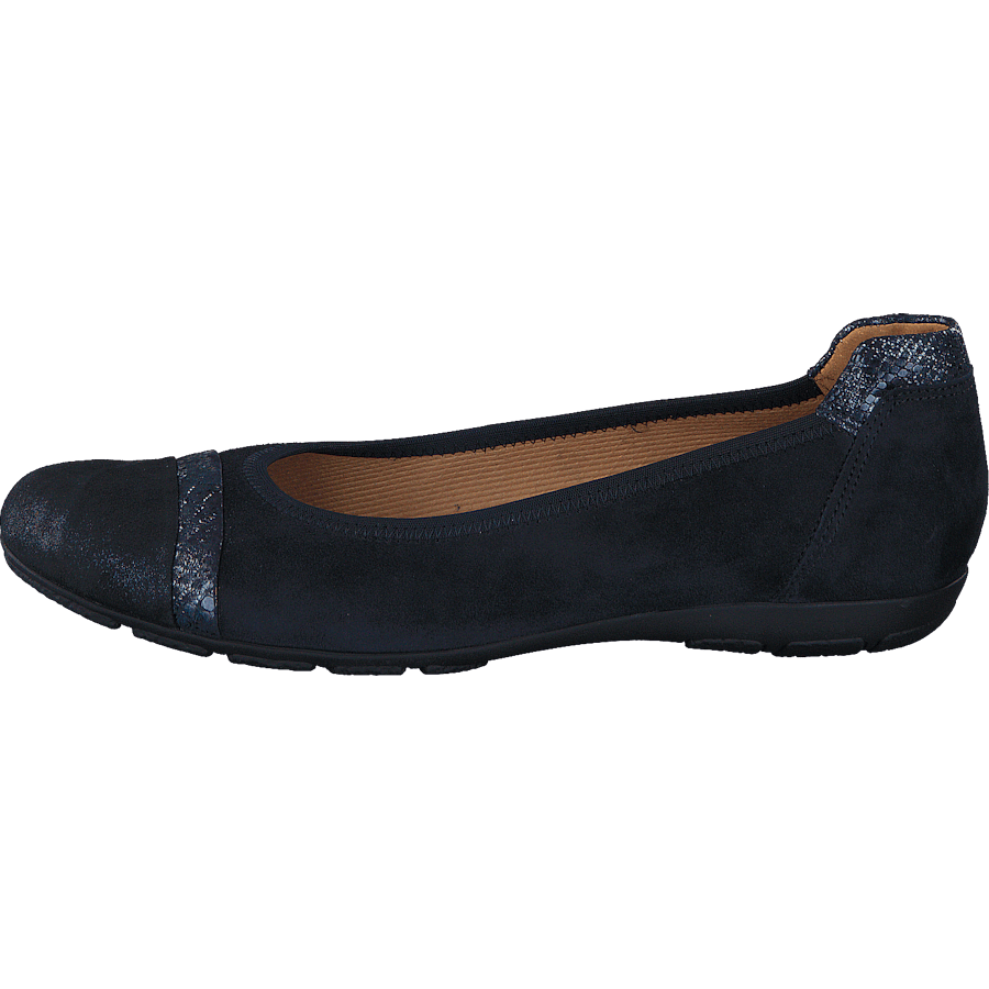 74.168-16 Snake Pacific