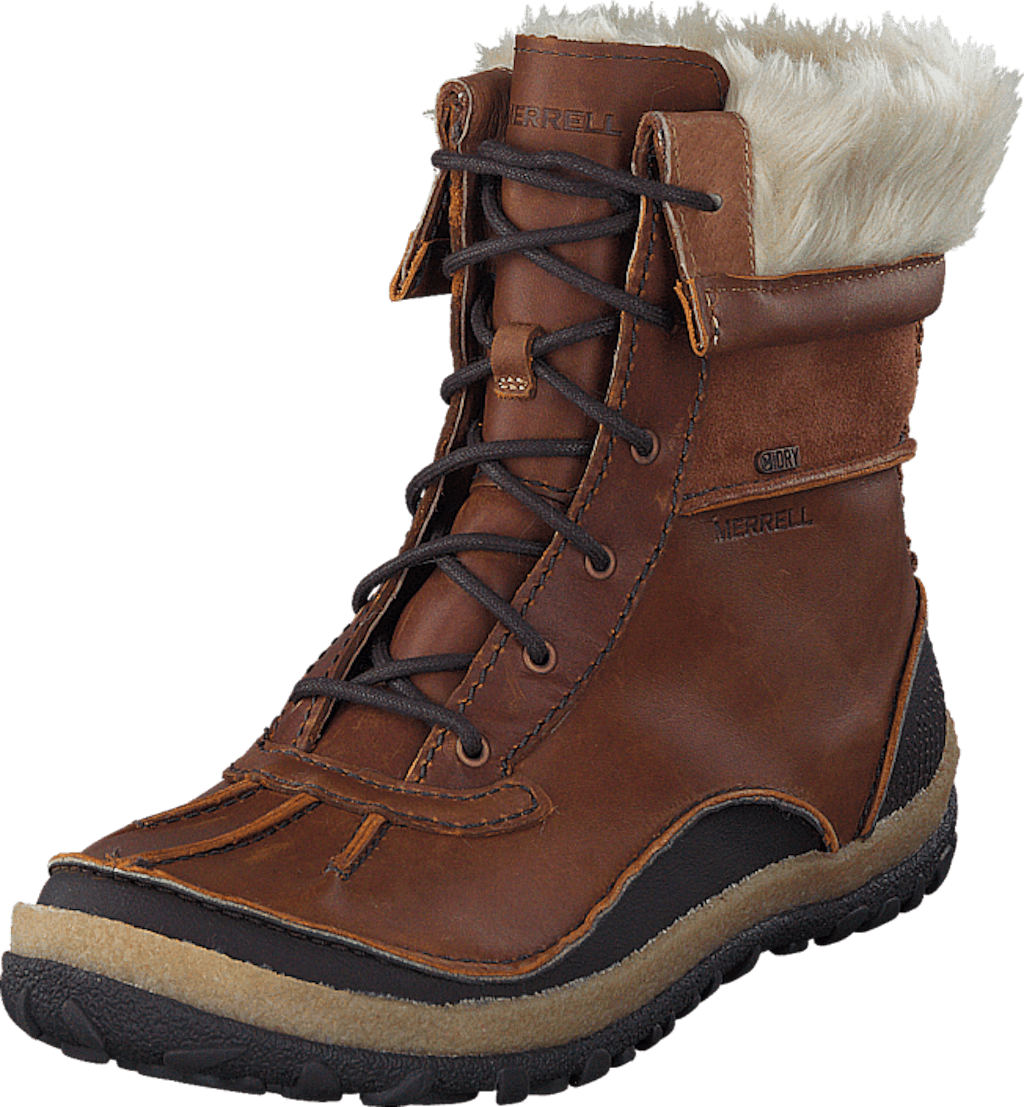 tremblant mid polar