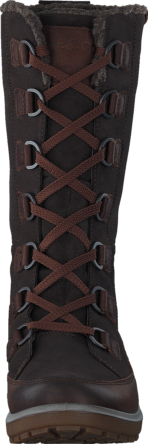 837043 Gora Cocoa Brown/ Licorice