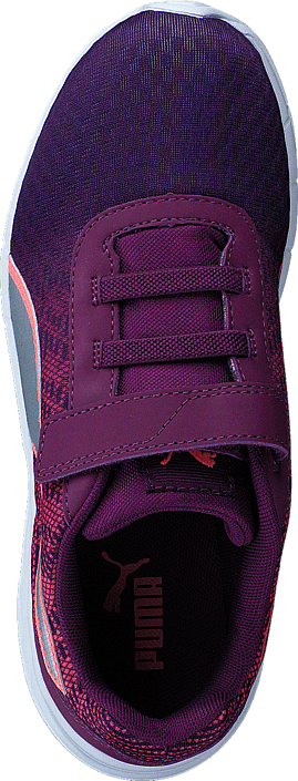 Puma - Comet PS Nrgy Peach-dark Purple