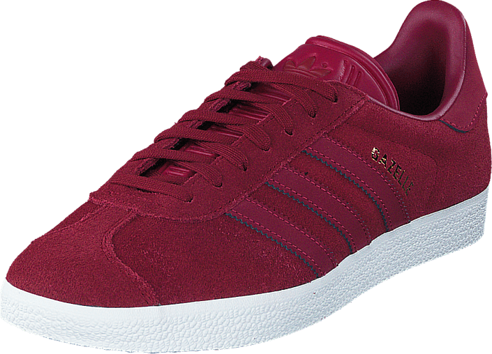 gazelle maroon