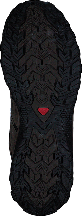 Salomon - Evasion Ltr Br/bur/ray