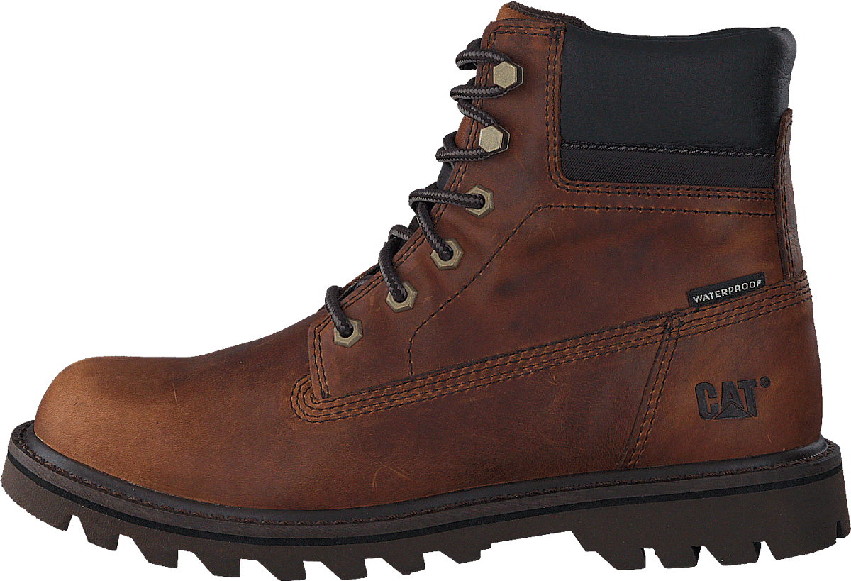 Cat deplete wp brown best sale