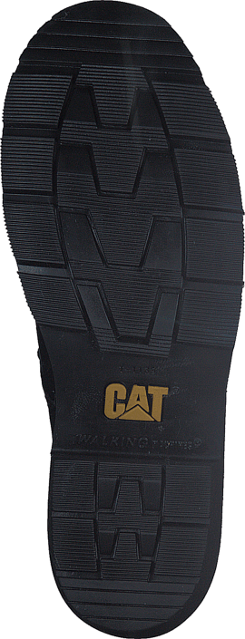 CAT - Kinsie Black