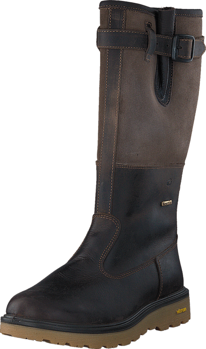 5640219 D Brown D Brown 5640219 D Brown D Brown