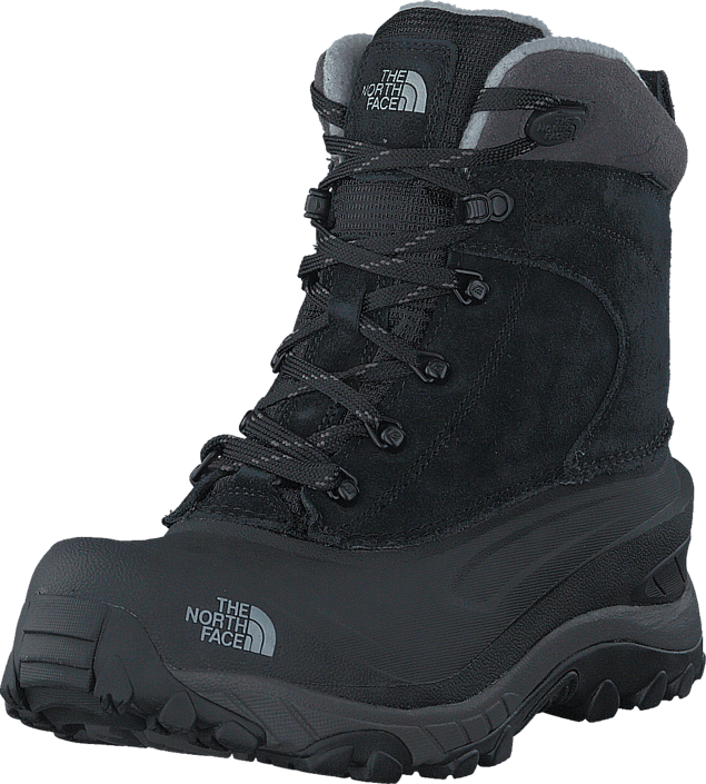 the north face chilkat iii Online 