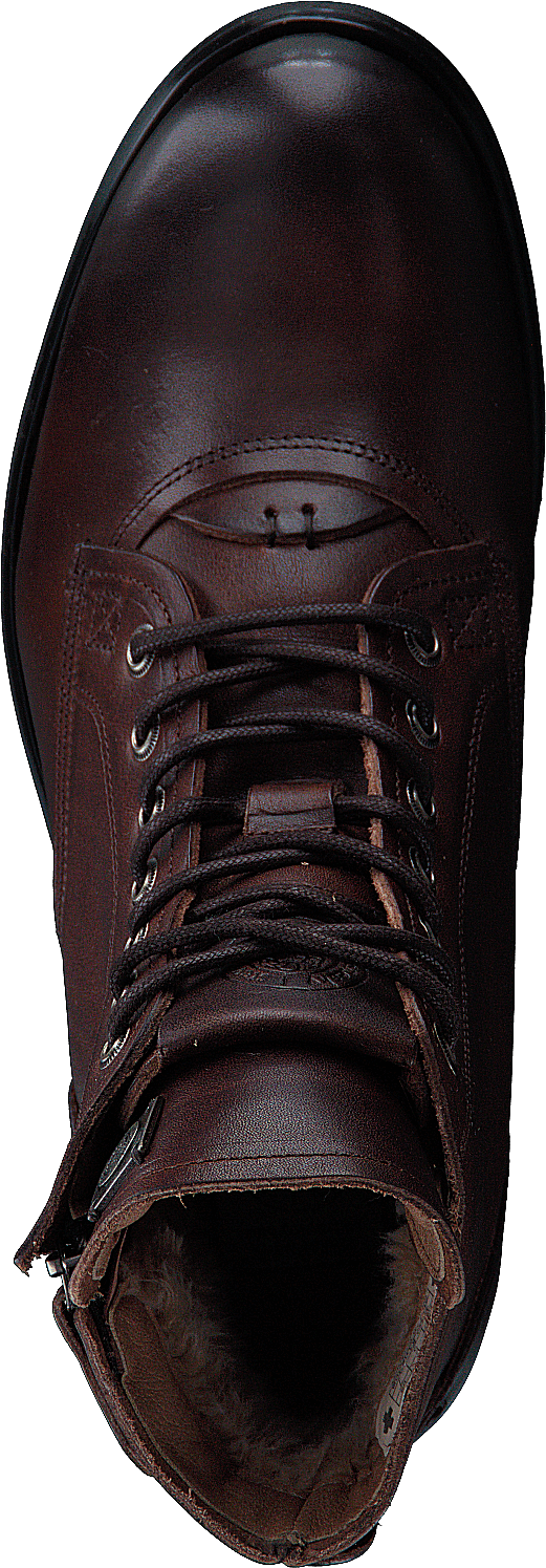 Kingdom Leather Brown