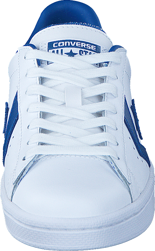 PL 76 Elevated Ox White/Blue Jay/White