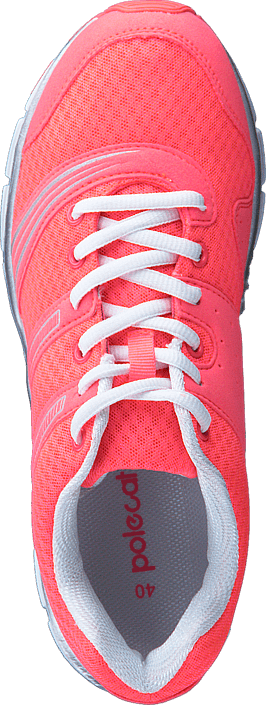 Polecat - 435-2325 Coral