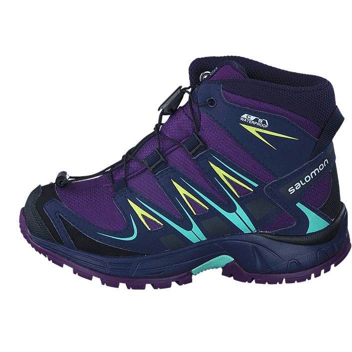 salomon xa pro 3d mid cswp k