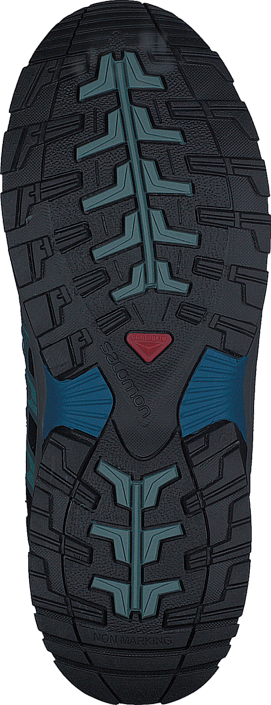 salomon xa pro 3d winter ts cswp