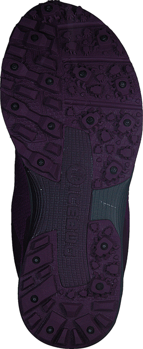 Icebug - DTS3 W BUGrip® GTX DkMagenta/Carbon