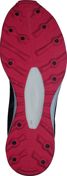Icebug - Oribi2 W BUGrip® GTX Black/DkRouge