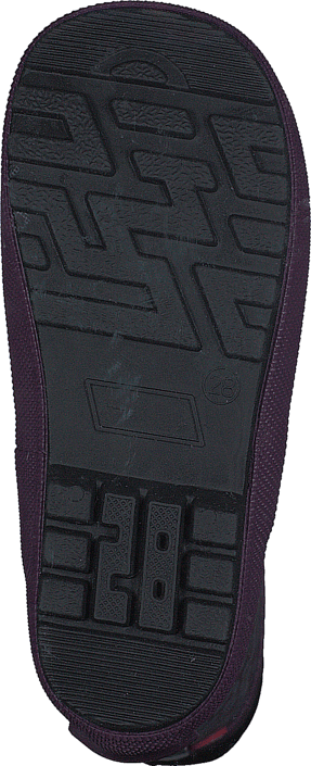 Pax - Denzo Purple